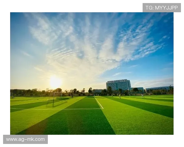 哥斯达黎加足球蓝图：打造青训输出的持久盈利引擎