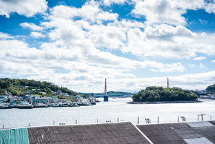 mk体育官方网站-海湾者未来青训体系逐渐完善,海湾技术