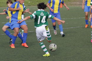 mk体育网址-中国足球联赛加大反暴力行为处罚力度,中国足球反黑风暴