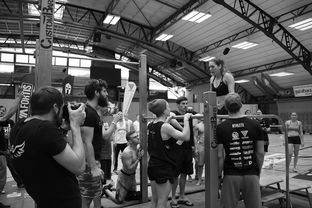 mk体育app下载-健身消费从高频服务转向多元体验模式，健身人群消费现状调查与分析